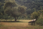 Benches
