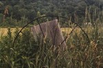 Old Farm Implement