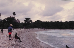 Stony Beach