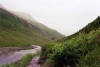 Denali National Park