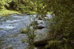 Babbling Brook